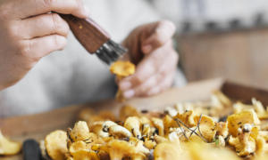 Omistajanvaihdos vaatii suunnitelmallisuutta ja kannattavuutta