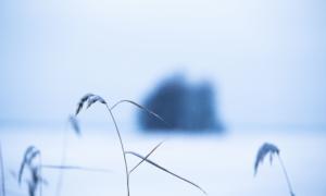 Liikenne 12 -suunnitelmassa tärkeitä yksityistielosseihin ja -lauttoihin liittyviä kirjauksia