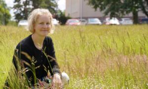 Kunnat kestävyyshaasteiden ratkaisijoina – Kestävän kehityksen viikko tekee näkyväksi ja vahvistaa tietoisuutta