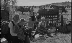 Karjalaiset ovat kotoutumisen kokemusasiantuntijoita