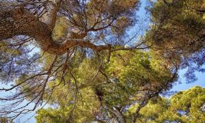 Maaseututoimijoiden näkökulma ensimmäistä kertaa mukana Suomen Agenda 2030 maaraportissa