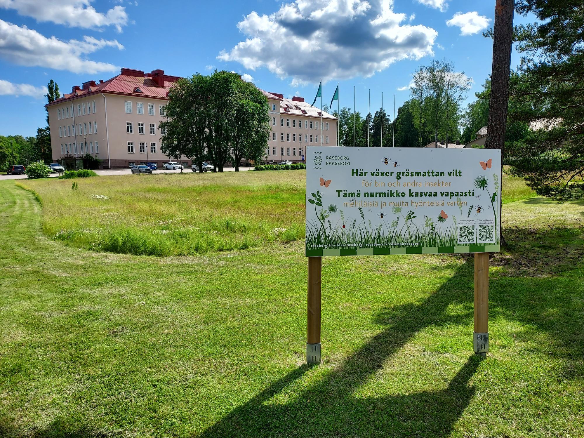 Raaseporin kaupungintalo taustalla ja sen edustalla jo toista kesää villiintyvä nurmikko - joka osa viillimpi Raasepori kampanjaa.